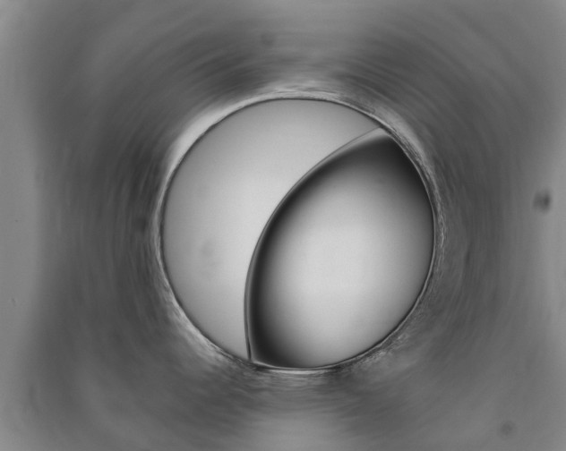 X0000091581344200708201005