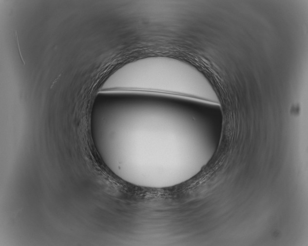X0000091581345200708201004