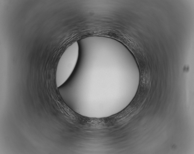 X0000091581346200708201004
