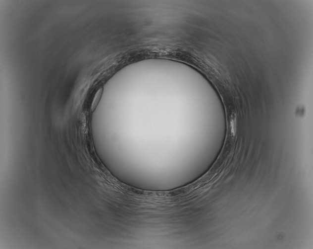 X0000091581347200708201004