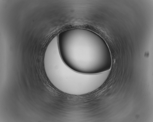 X0000091581348200708201004