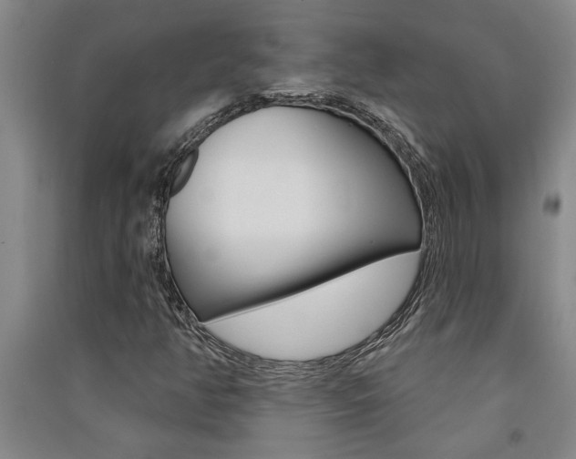 X0000091581350200708201004