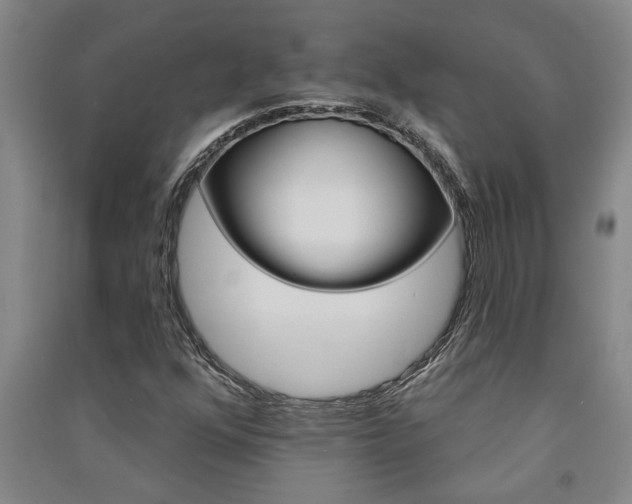 X0000091581352200708201004