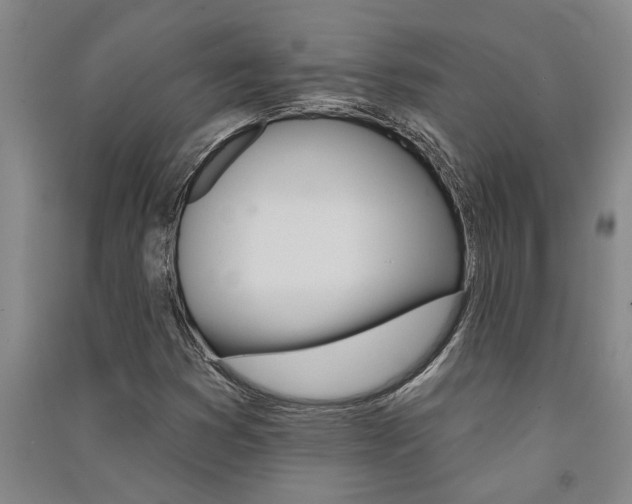 X0000091581353200708201004