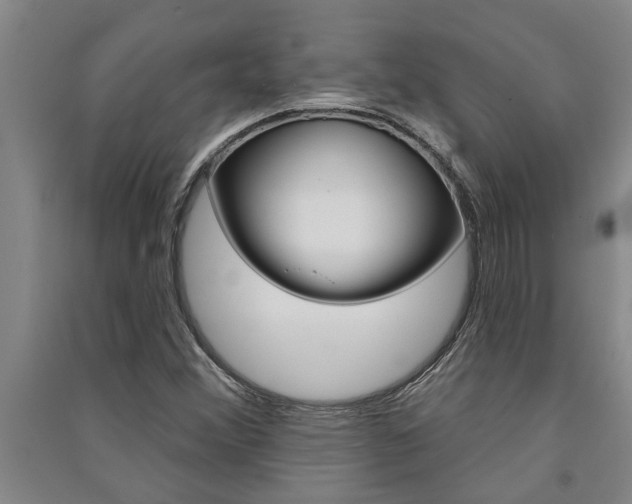 X0000091581356200708201004