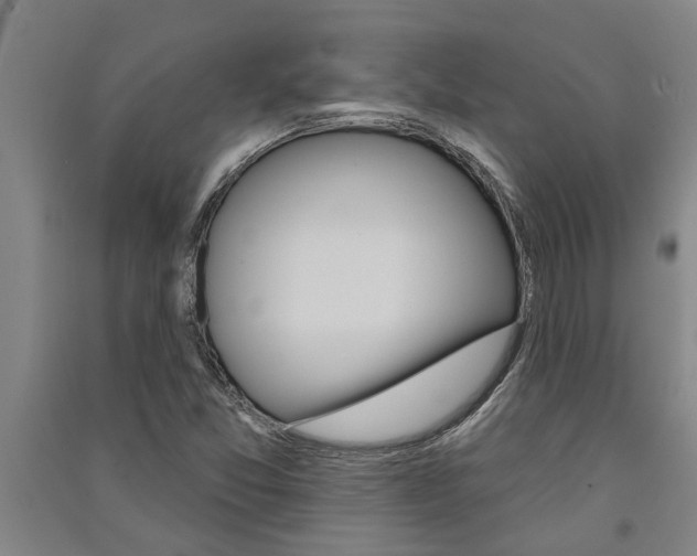 X0000091581357200708201004