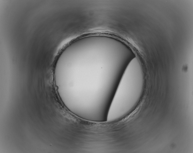 X0000091581358200708201004