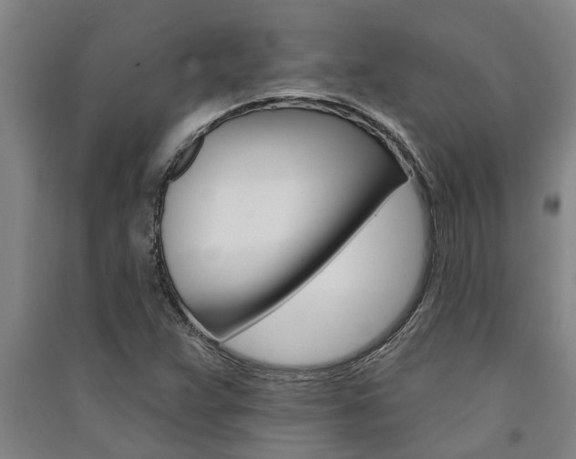 X0000091581359200708201004