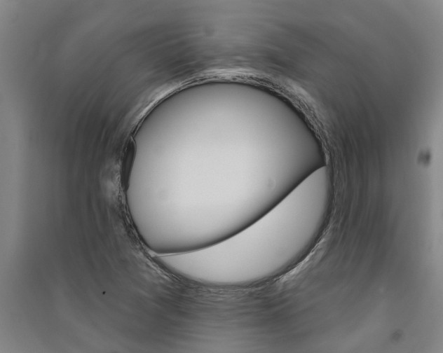 X0000091581361200708201004