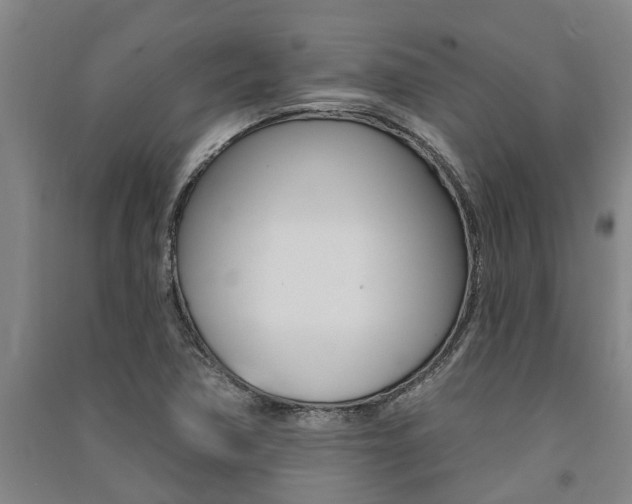 X0000091581362200708201004
