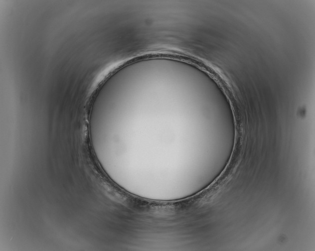 X0000091581363200708201004