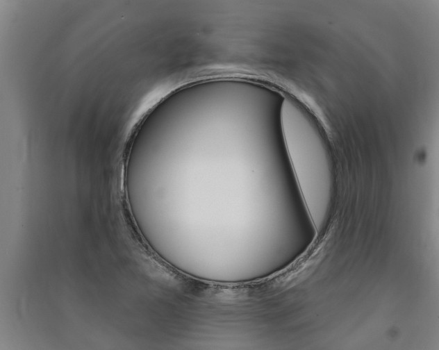 X0000091581365200708201004