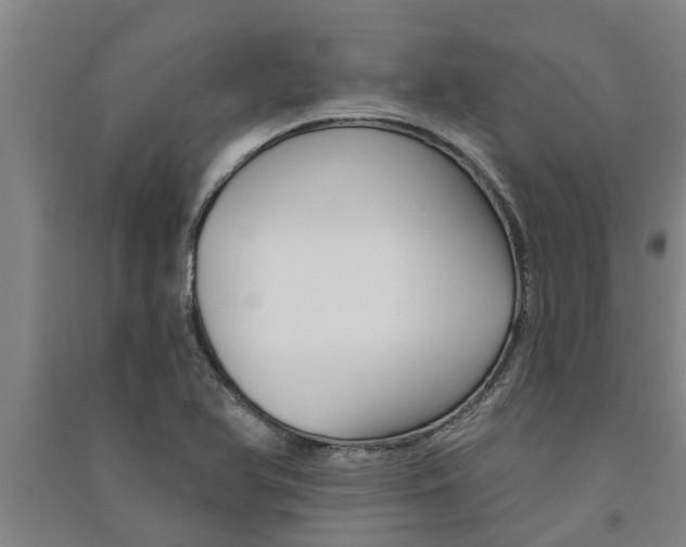 X0000091581366200708201004