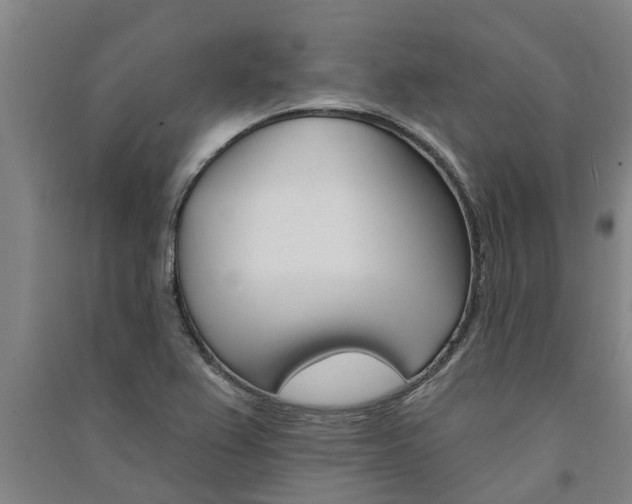 X0000091581367200708201004
