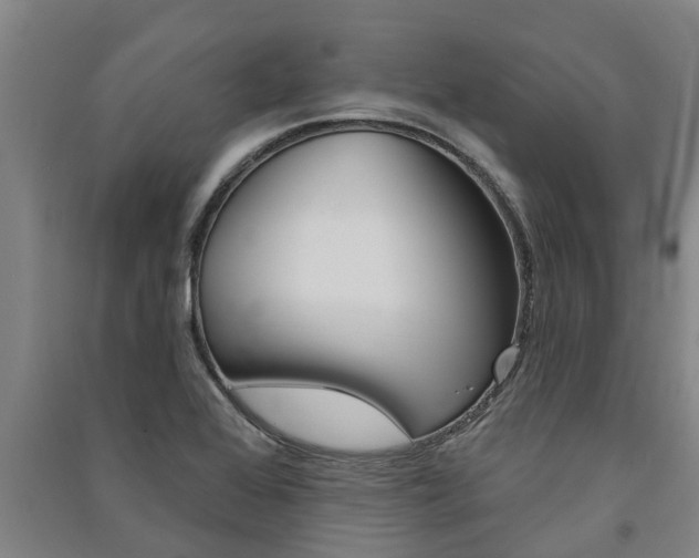 X0000091581368200708201004