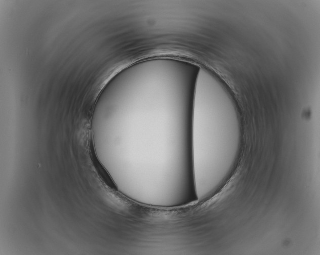 X0000091581369200708201004