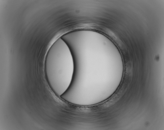X0000091581370200708201004