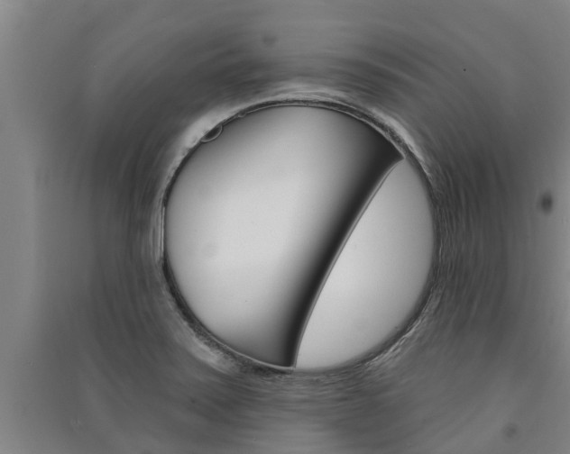 X0000091581371200708201004
