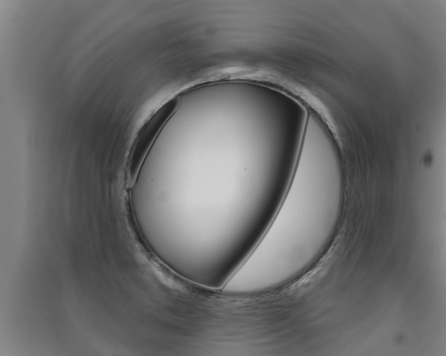 X0000091581373200708201004