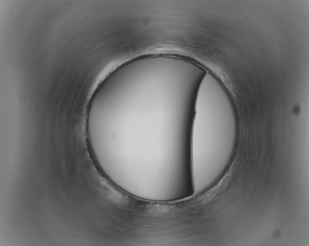 X0000091581374200708201004