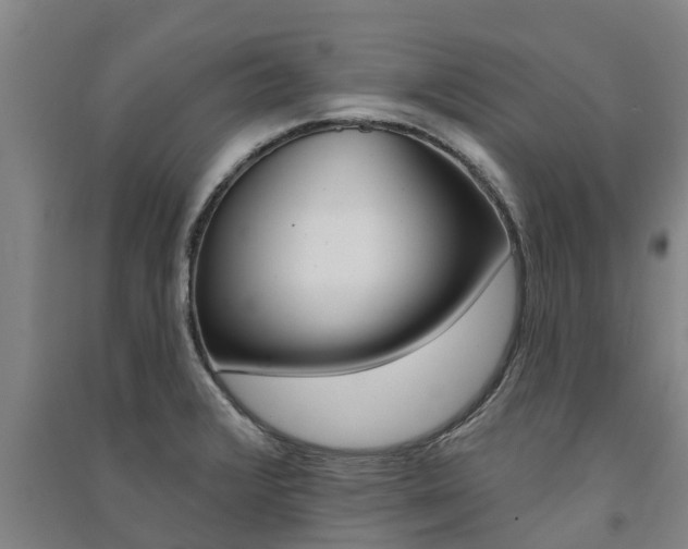 X0000091581376200708201004