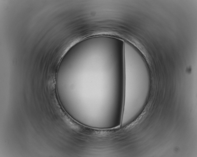 X0000091581377200708201004