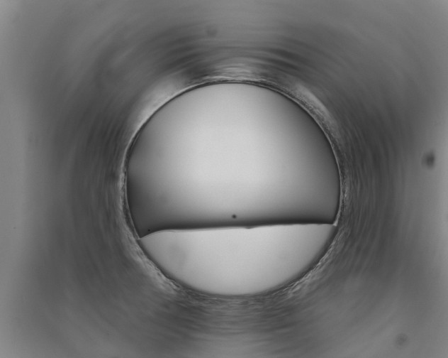 X0000091581378200708201004