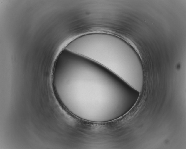 X0000091581379200708201004