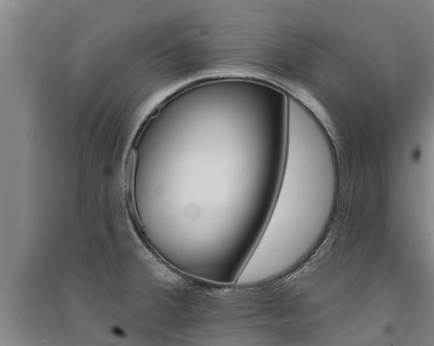 X0000091581380200708201004