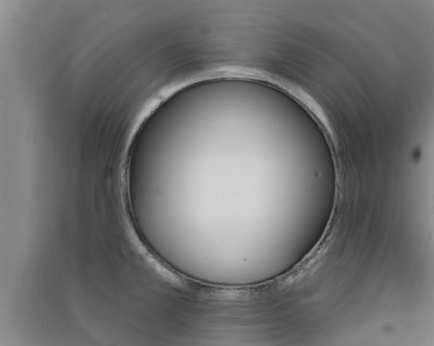 X0000091581381200708201004