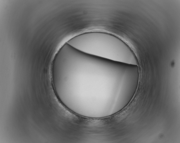 X0000091581382200708201004