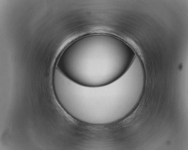 X0000091581384200708201004