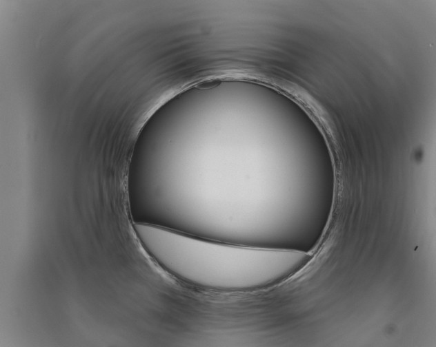 X0000091581385200708201004