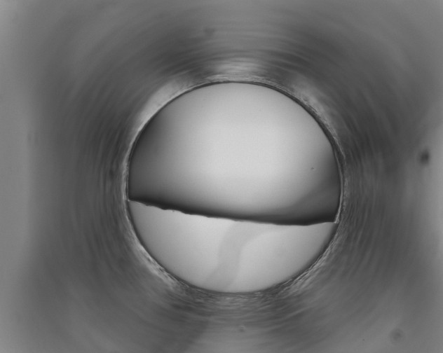X0000091581386200708201004