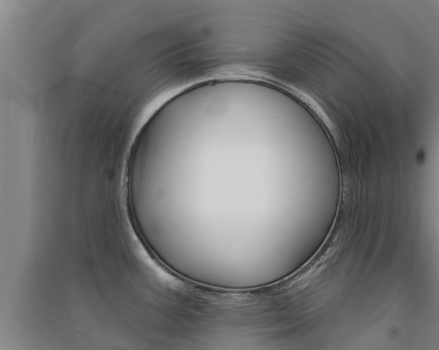 X0000091581387200708201004