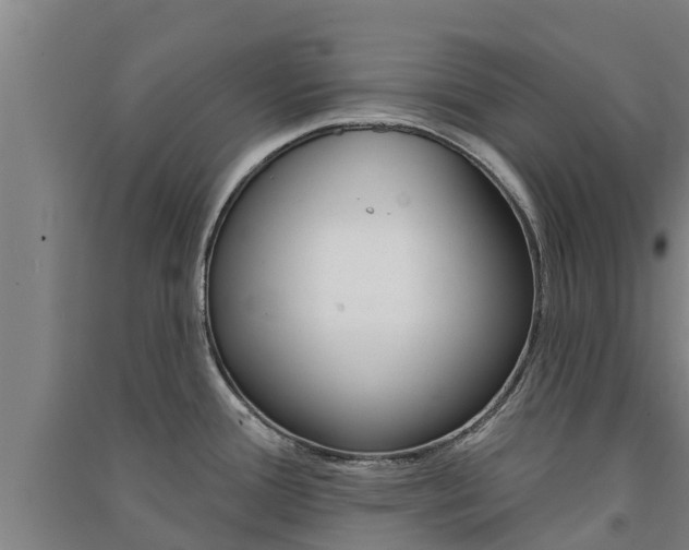 X0000091581388200708201004