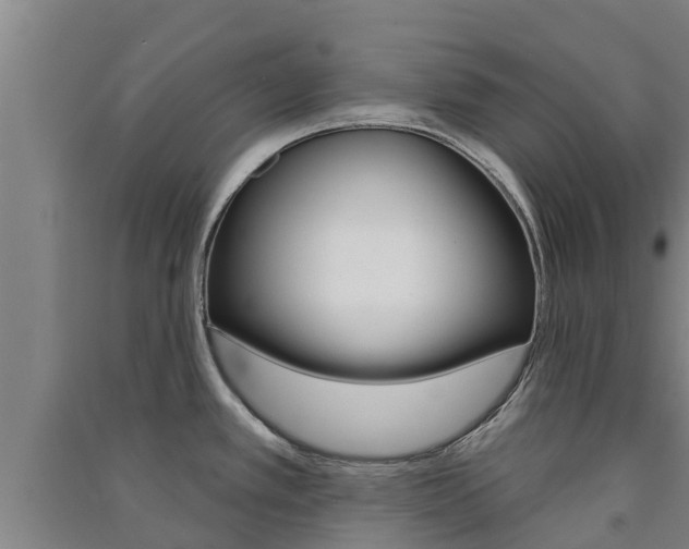 X0000091581389200708201004