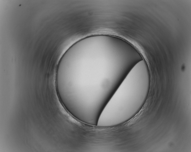 X0000091581390200708201004