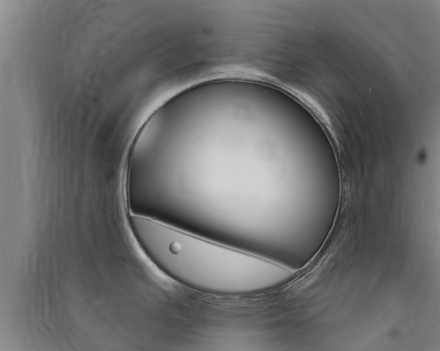 X0000091581391200708201004