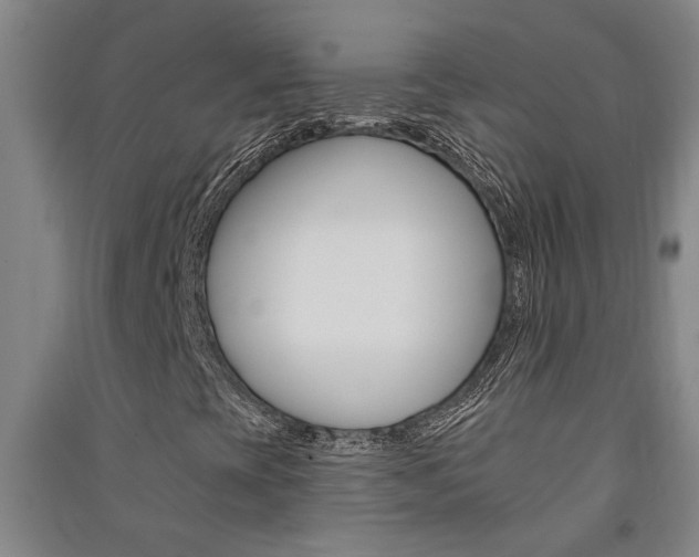 X0000091581393200708201003