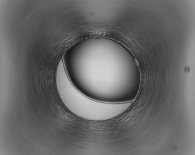 X0000091581394200708201003