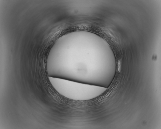 X0000091581395200708201003