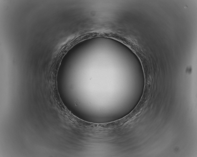 X0000091581398200708201003