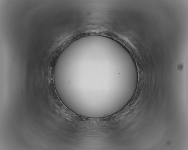 X0000091581399200708201003