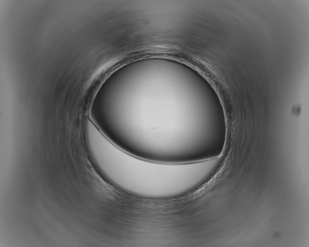 X0000091581402200708201003