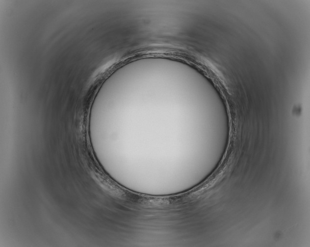 X0000091581403200708201003