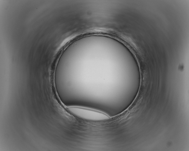 X0000091581404200708201003