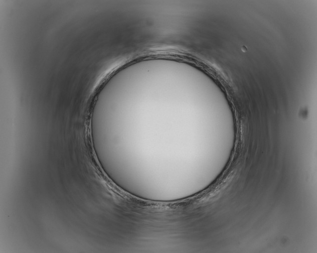 X0000091581405200708201003