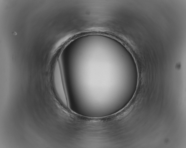X0000091581406200708201003