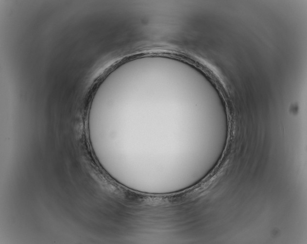 X0000091581407200708201003